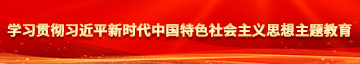 操爆逼小说学习贯彻习近平新时代中国特色社会主义思想主题教育